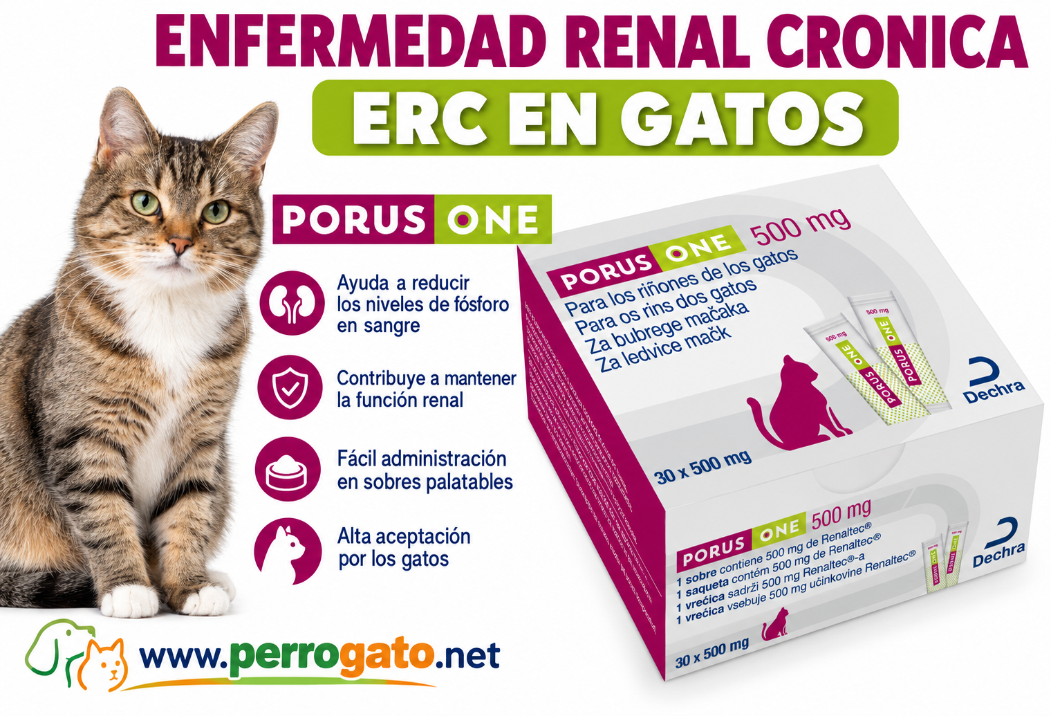 PORUS ONE Enfermedad Renal Cronica en Gatos